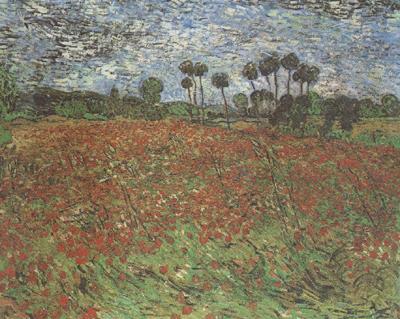 Vincent Van Gogh Field with Poppies (nn04) Germany oil painting art